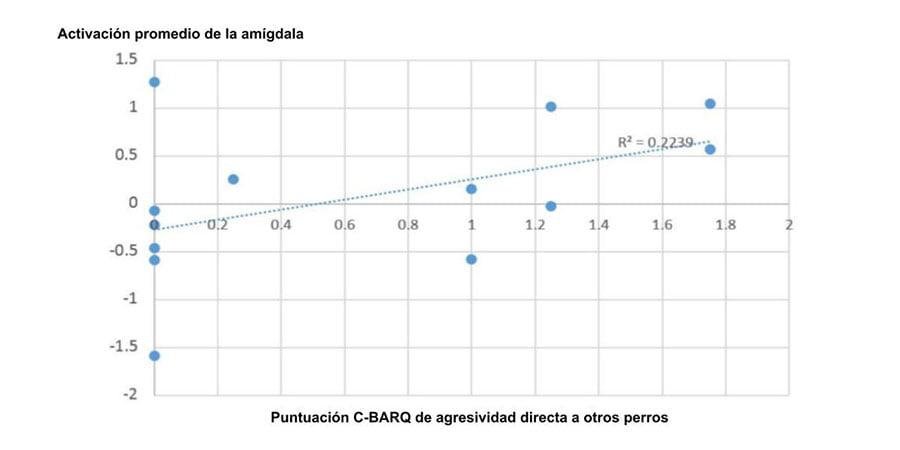 estudio c barq 1